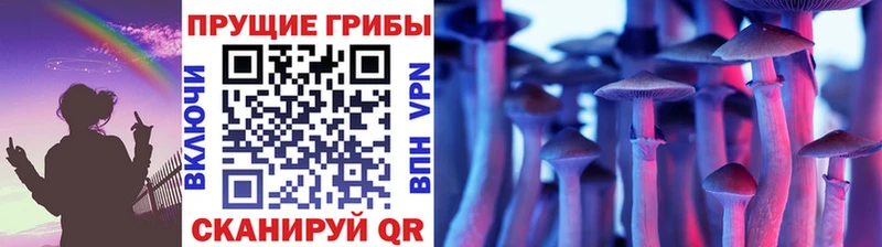 darknet телеграм  Нефтекумск  Псилоцибиновые грибы GOLDEN TEACHER 