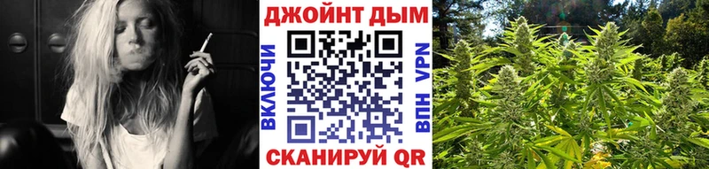 Бошки Шишки SATIVA & INDICA  купить закладку  Нефтекумск 